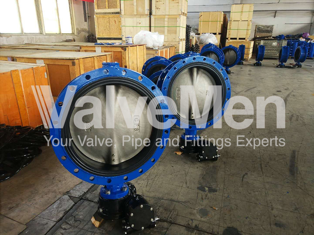 Butterfly valve ngày 08 tháng 08 năm 2020